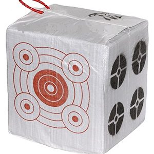 bce-econo-target-cube-41667