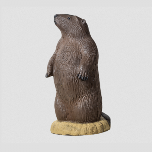 rinehart-beaver-83771